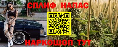 мяу мяу мука Нарткала