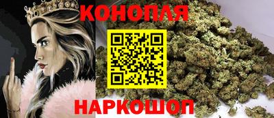 стаф Новокубанск
