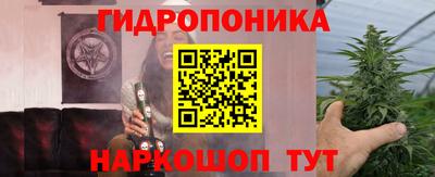 мяу мяу мука Нарткала