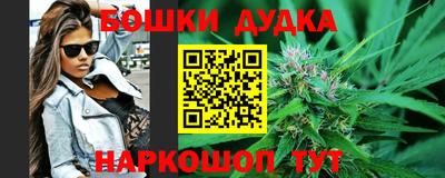 сатива Новозыбков