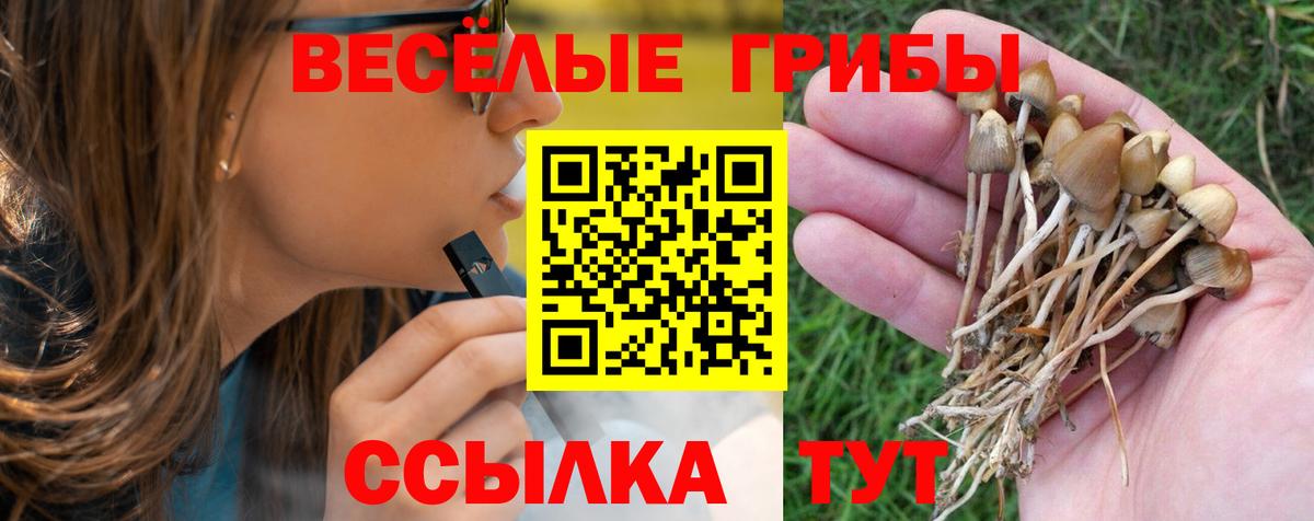 Подольск  Галлюциногенные грибы MAGIC MUSHROOMS  Вход с VPN 