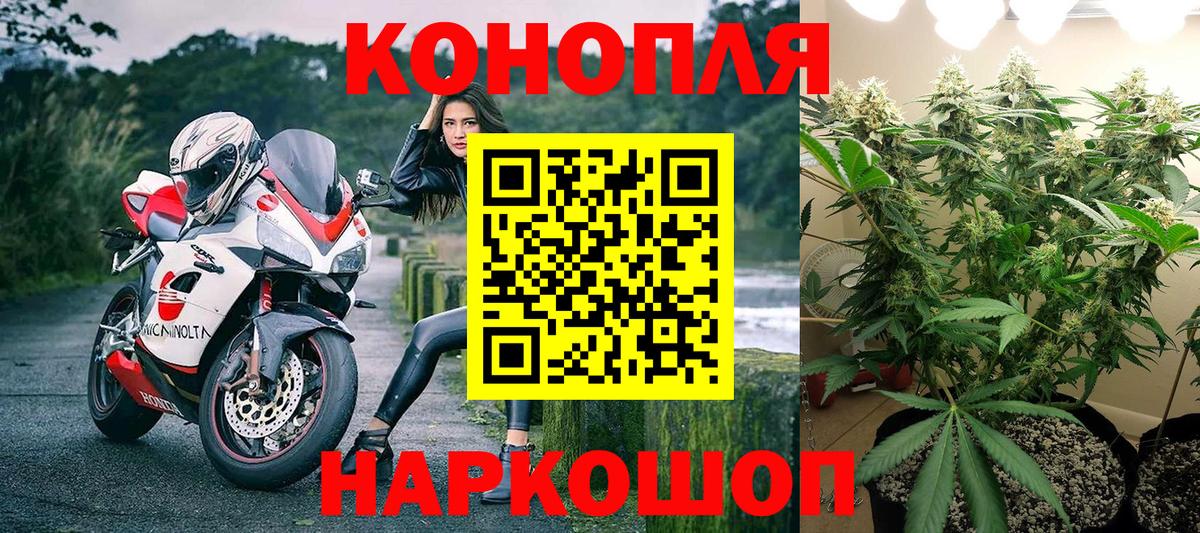 Бошки Шишки конопля  Канабис сатива  Каннабис VHQ  Вход с VPN  Подольск  Шишки марихуана план 